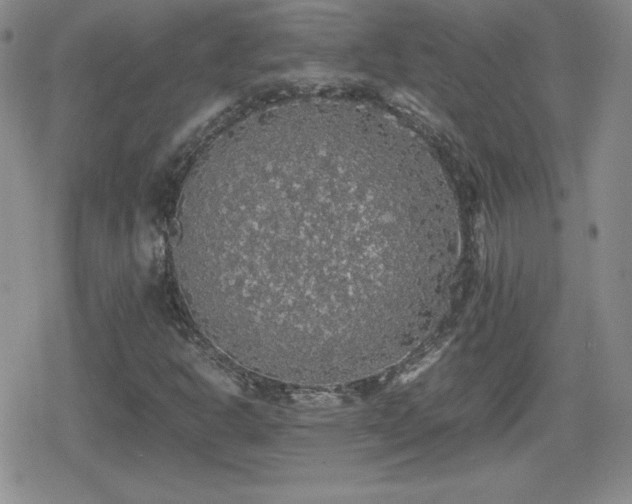 X0000080731302200612151214