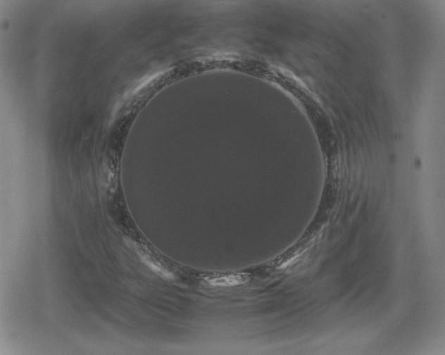 X0000080731303200612151214