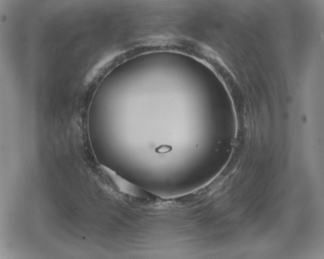 X0000080731304200612151214