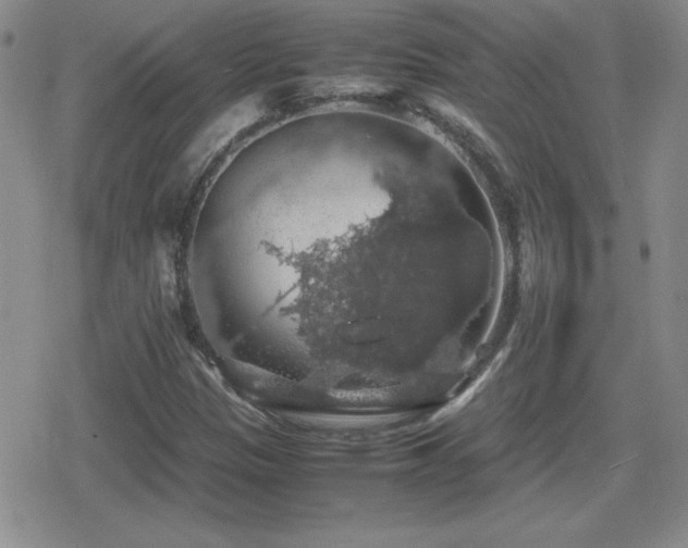 X0000080731305200612151214