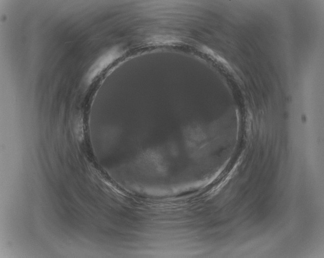 X0000080731306200612151214