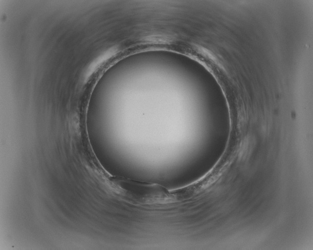 X0000080731307200612151214