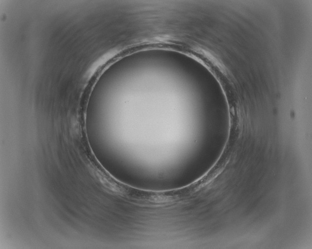 X0000080731308200612151214