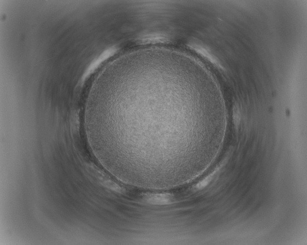 X0000080731309200612151214