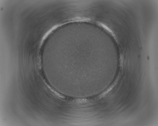 X0000080731310200612151214