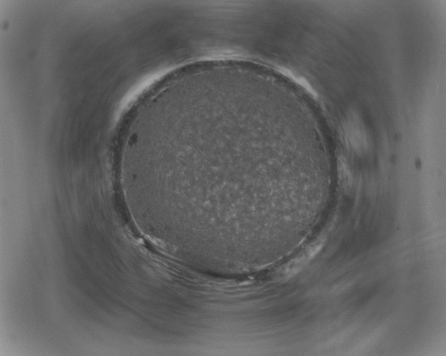 X0000080731311200612151214