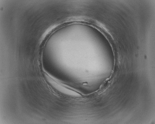 X0000080731312200612151214