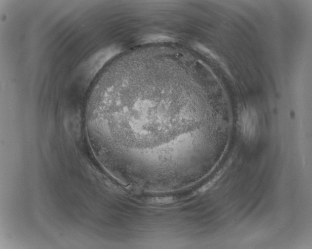 X0000080731313200612151214