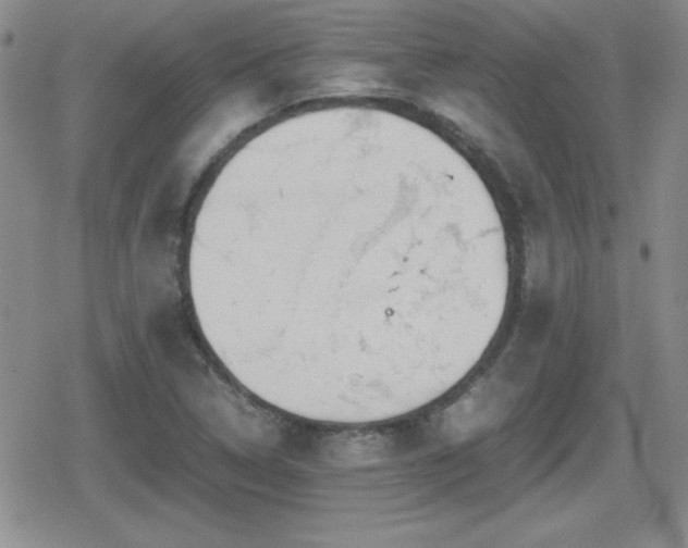 X0000080731314200612151214