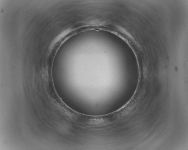 X0000080731315200612151214