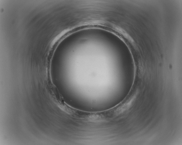 X0000080731316200612151214