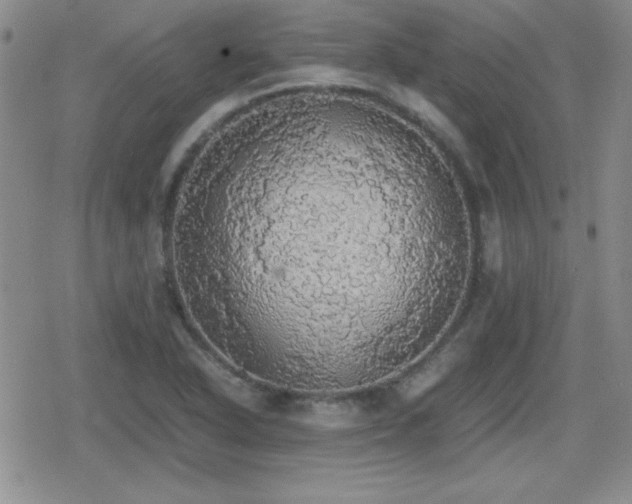 X0000080731318200612151214