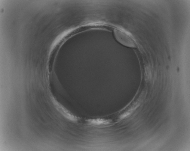 X0000080731319200612151214