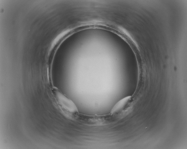 X0000080731320200612151214