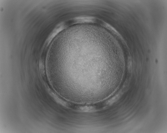 X0000080731321200612151214