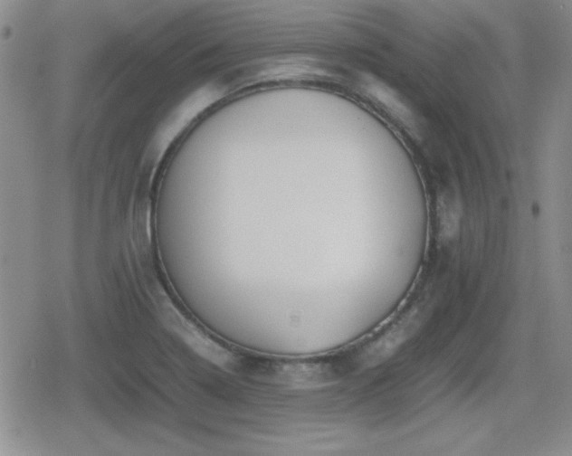 X0000080731322200612151214