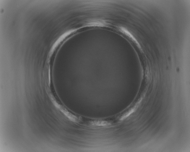 X0000080731323200612151214