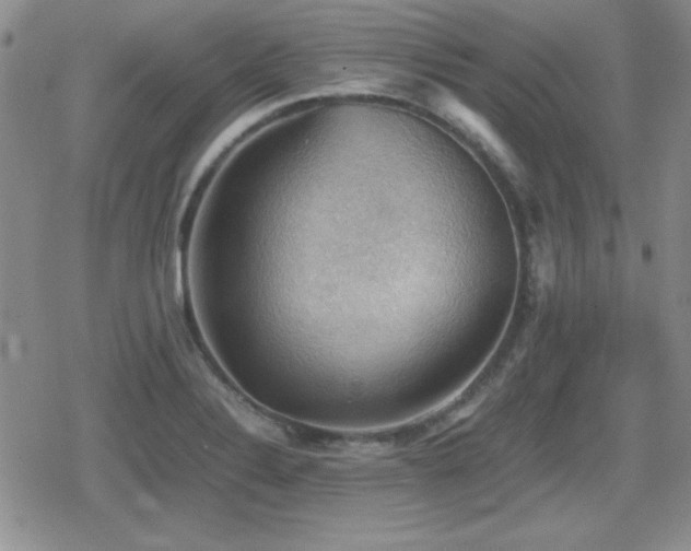 X0000080731324200612151214