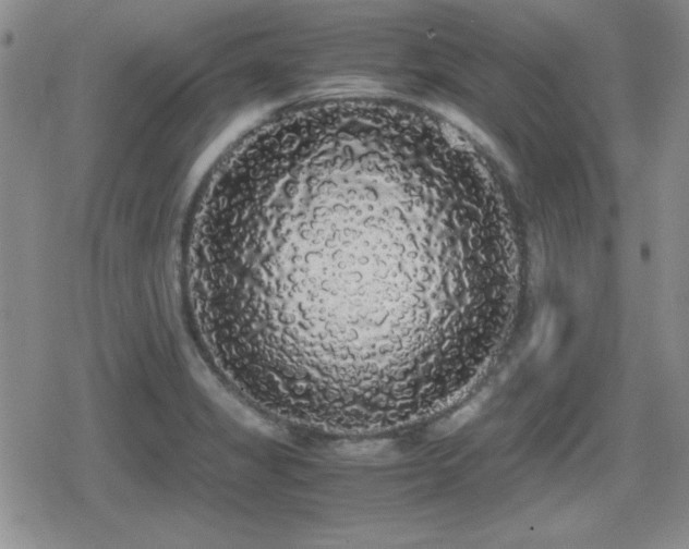 X0000080731325200612151214