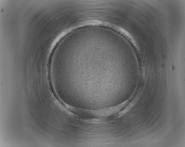 X0000080731326200612151214