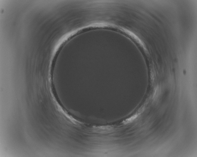 X0000080731327200612151214