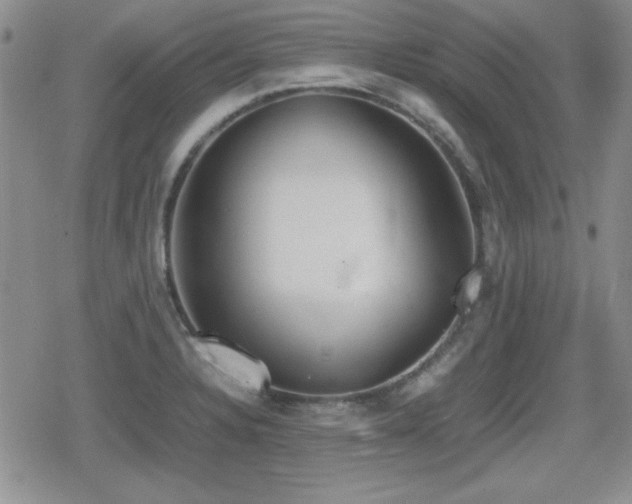 X0000080731328200612151214