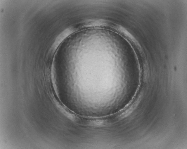 X0000080731329200612151214