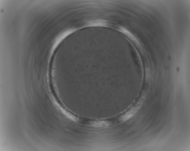 X0000080731331200612151214