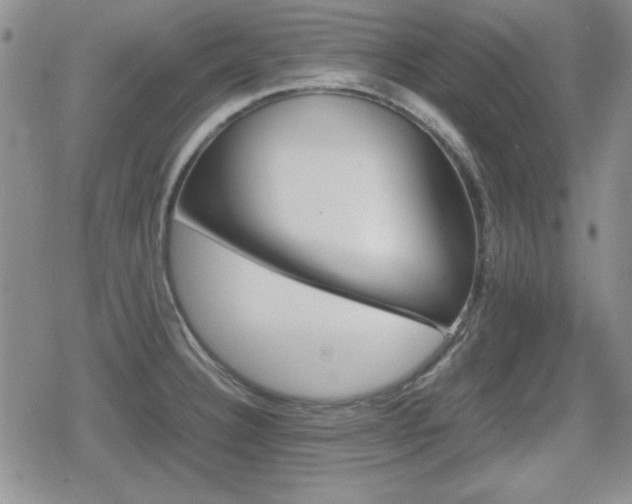 X0000080731332200612151214