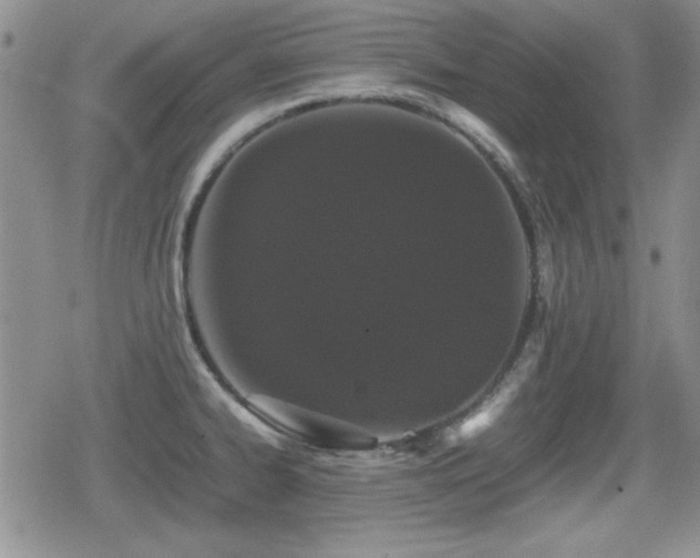 X0000080731334200612151214