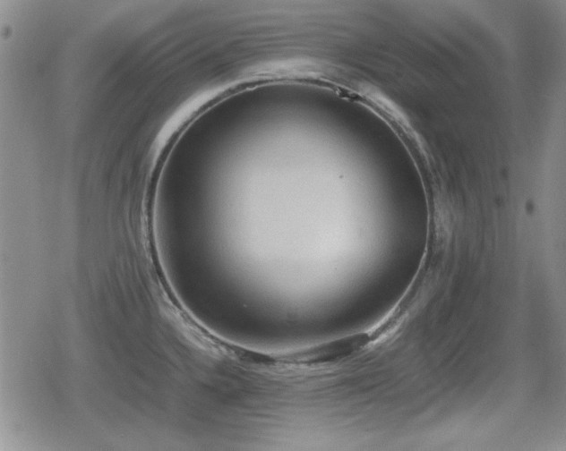 X0000080731336200612151214