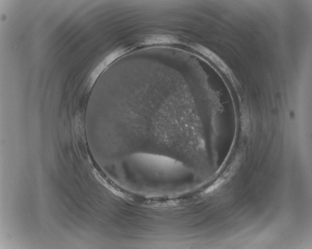 X0000080731337200612151214