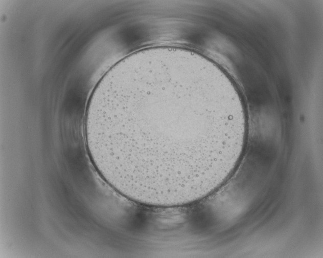 X0000080731338200612151214