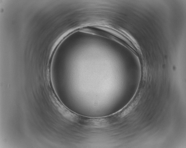 X0000080731340200612151214