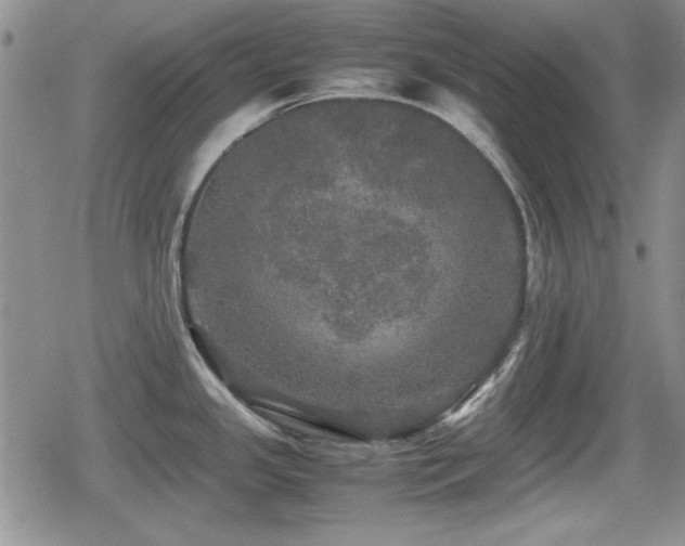 X0000080731341200612151214