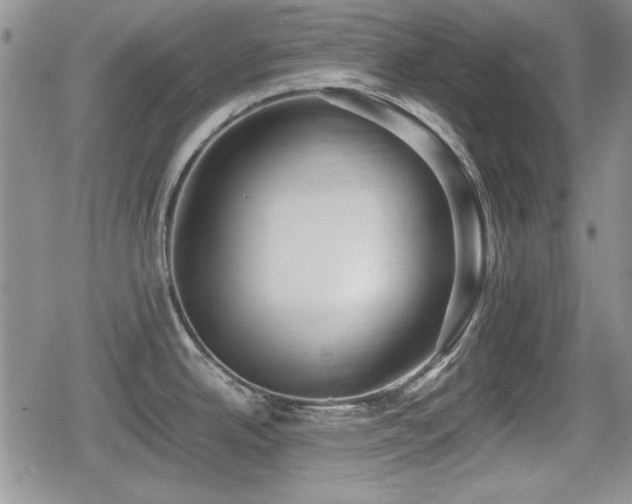 X0000080731342200612151214