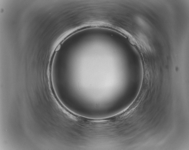 X0000080731343200612151214