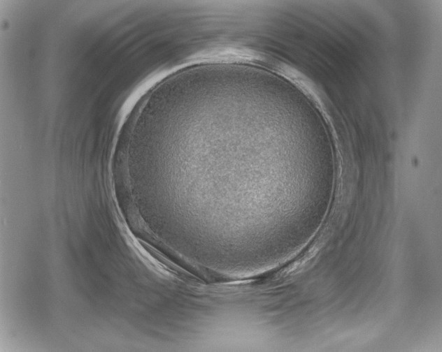 X0000080731344200612151214