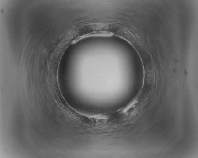 X0000080731345200612151214