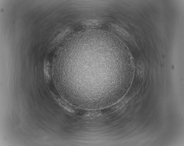 X0000080731346200612151214