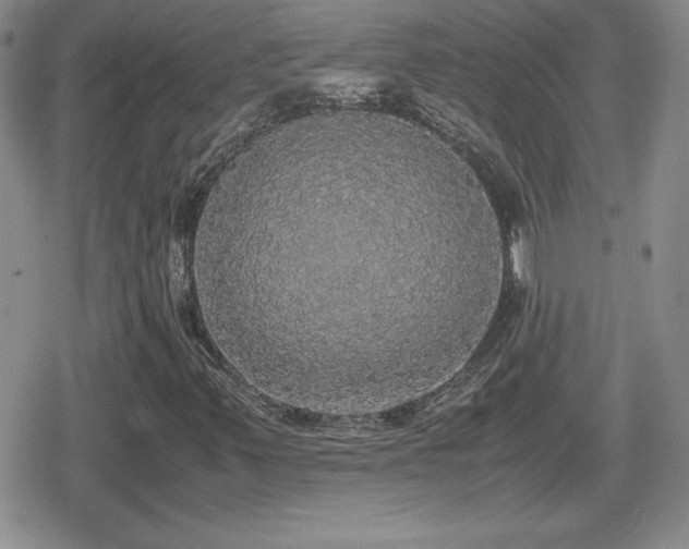 X0000080731347200612151214