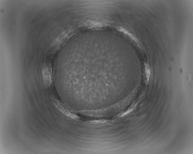 X0000080731348200612151214