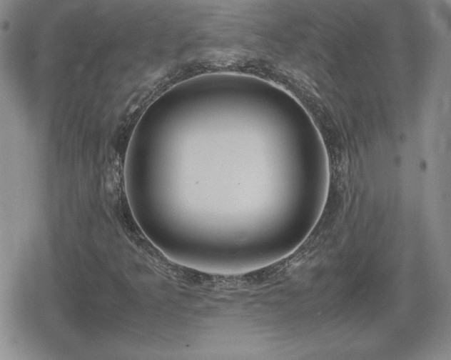 X0000080731349200612151214