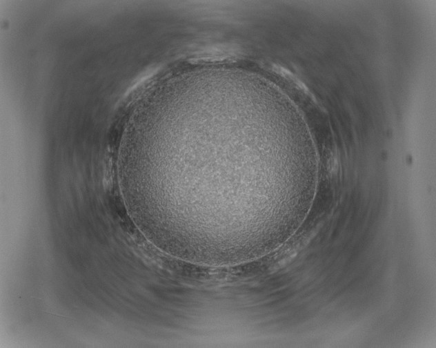 X0000080731350200612151214