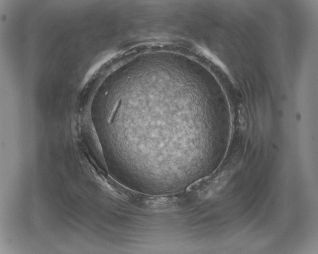 X0000080731352200612151214