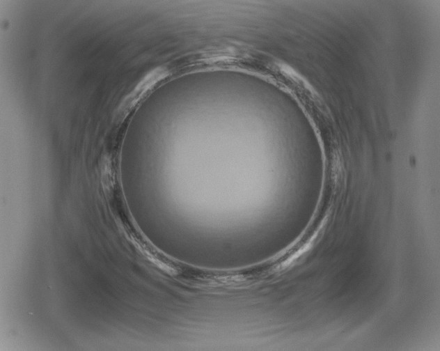 X0000080731353200612151213