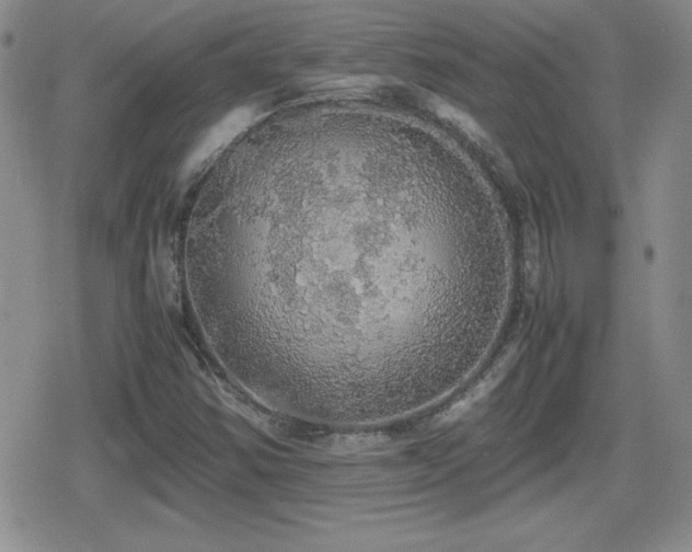 X0000080731354200612151213