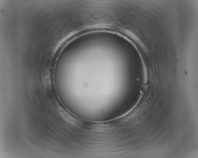 X0000080731356200612151213