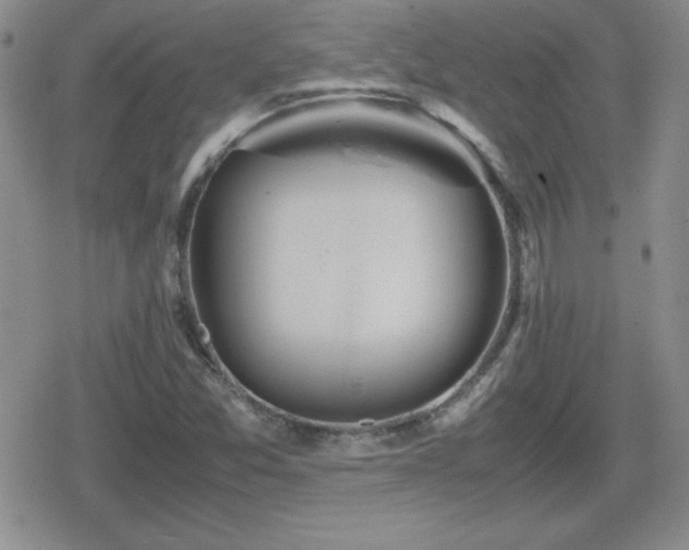 X0000080731357200612151213