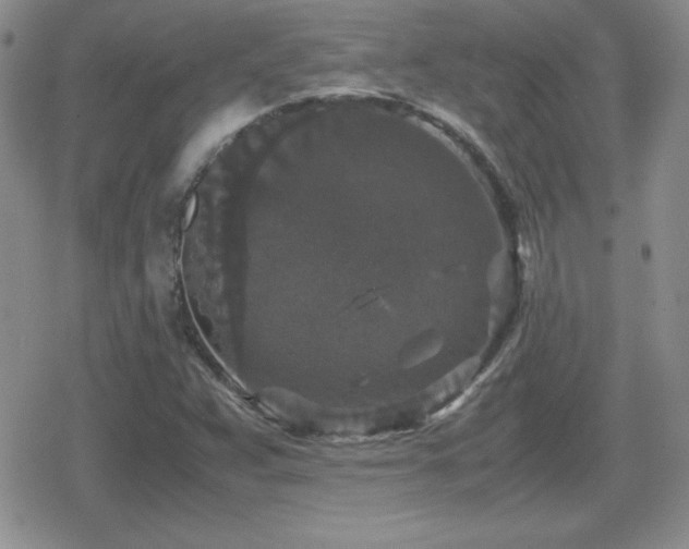 X0000080731359200612151213